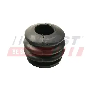 FT32263 FAST
