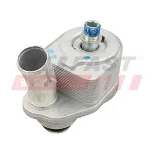 FT55291 FAST