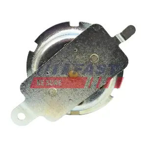 FT12619 FAST