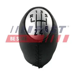 FT09038 FAST