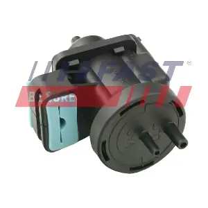 FT63011 FAST