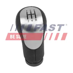 FT73234 FAST