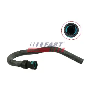 FT61069 FAST