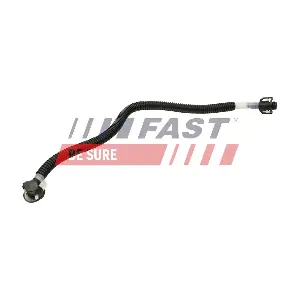 FT00245 FAST