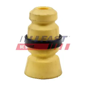 FT18261 FAST