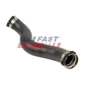 FT01135 FAST