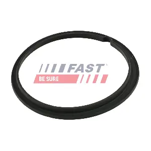 FAST FT48502