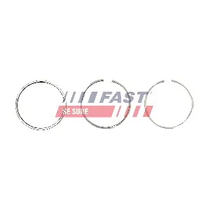 FT47386/0 FAST