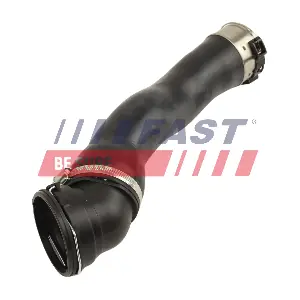 FT01198 FAST