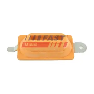 FT18119 FAST