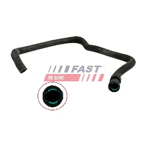 FT61988 FAST