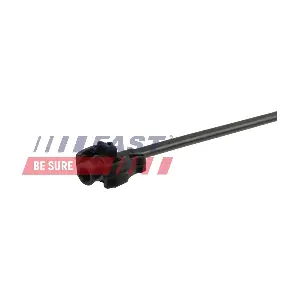 FT00980 FAST