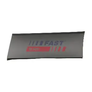 FT90419 FAST