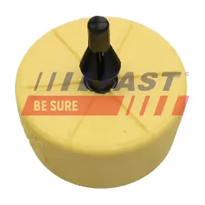 FT12624 FAST