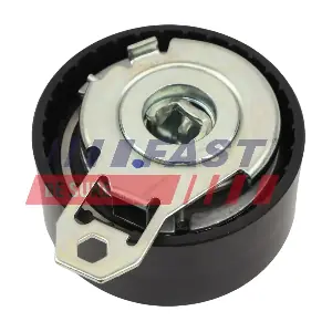 FT10431 FAST