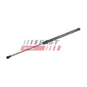 FT00194 FAST