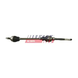 FT27058 FAST