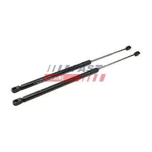 FT00188K FAST