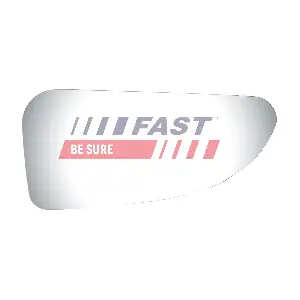 FT88594 FAST