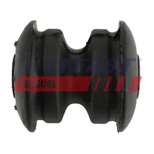 FT18086 FAST