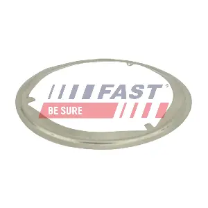 FT84819 FAST