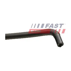 FT61556 FAST