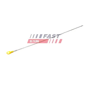 FT80300 FAST