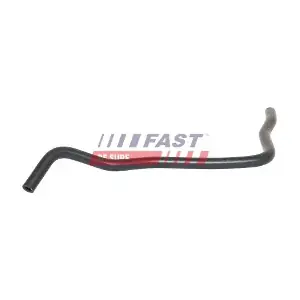 FT61055 FAST