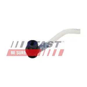 FT00251 FAST