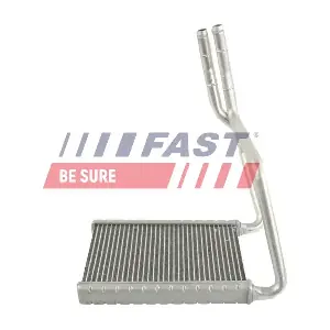 FT55583 FAST