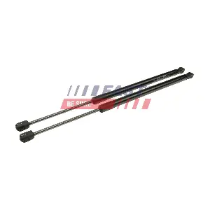 FT00207K FAST