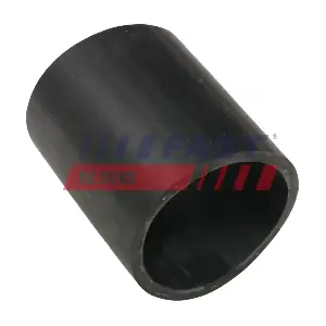 FT65161 FAST