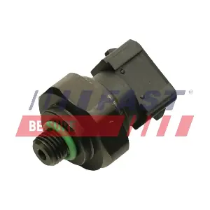 FT59305 FAST