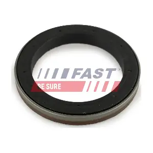 FT49910 FAST