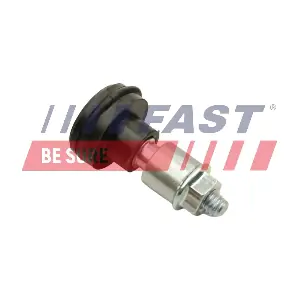 FT95535 FAST