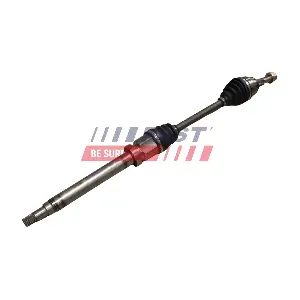 FT27195 FAST
