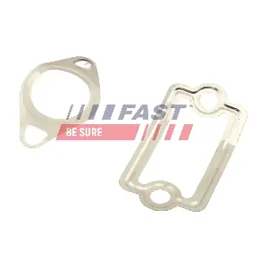FT49925 FAST