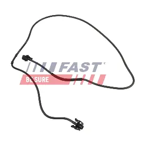 FT10696 FAST