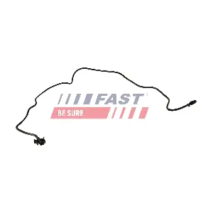 FT61019 FAST