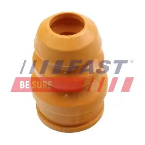 FT12553 FAST