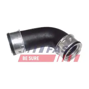 FT61861 FAST