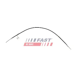 FT69010 FAST