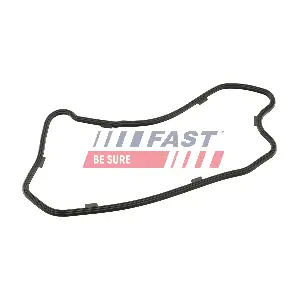FT49208 FAST