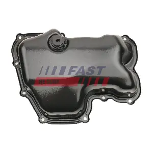 FT49321 FAST