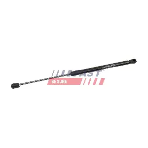 FT00189 FAST