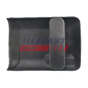 FT94309 FAST