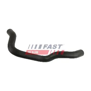 FT61977 FAST