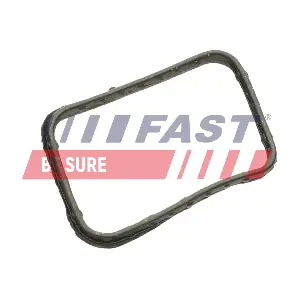 FAST FT58302