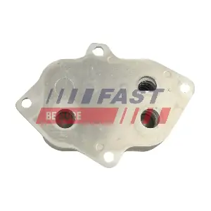 FT01027 FAST