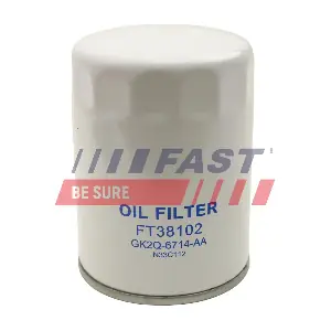 FT38102 FAST